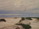 Playa 6 dunas con verde 63x70